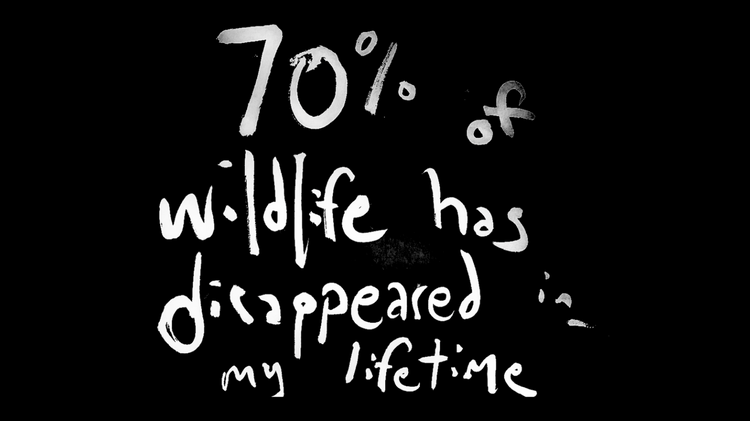 70% of the world’s species have died in my lifetime