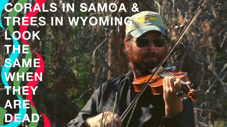 MINI-DOC: Corals in Samoa and Trees in Wyoming Look The Same When They Are Dead